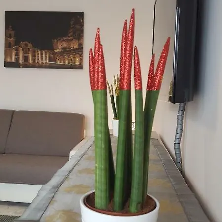 Xx Settembre - * Matera