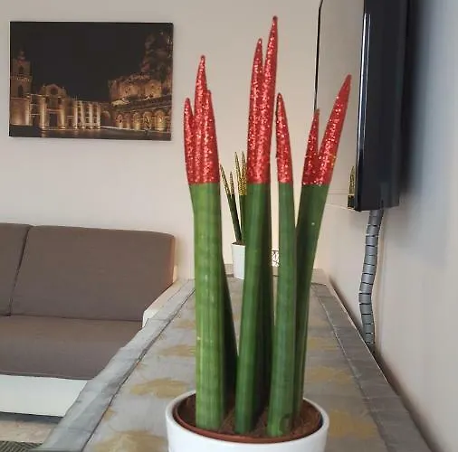 Xx Settembre - * Matera