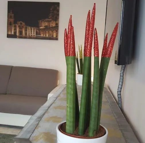 Apartman Xx Settembre - *